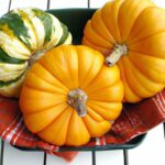 Cozy Instant Pot Fall Recipes to Savor This Season