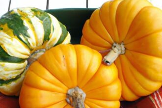 Cozy Instant Pot Fall Recipes to Savor This Season