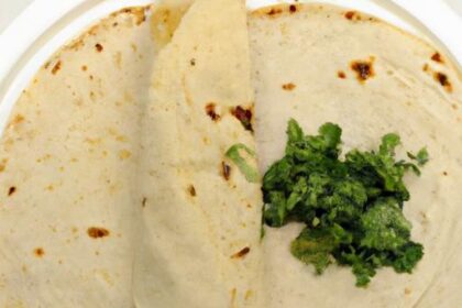 Wheat Tortillas Unwrapped: History, Uses, and Recipes