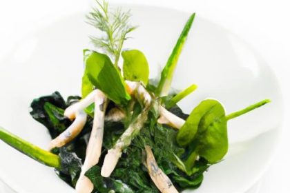 Harness Nature’s Power: Cooking with Immune-Boosting Herbs